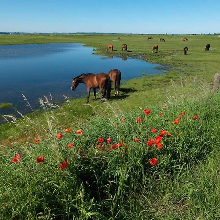 Ostsee Residenz Meeresblick Bellevue Insel Poel Buitenkant foto