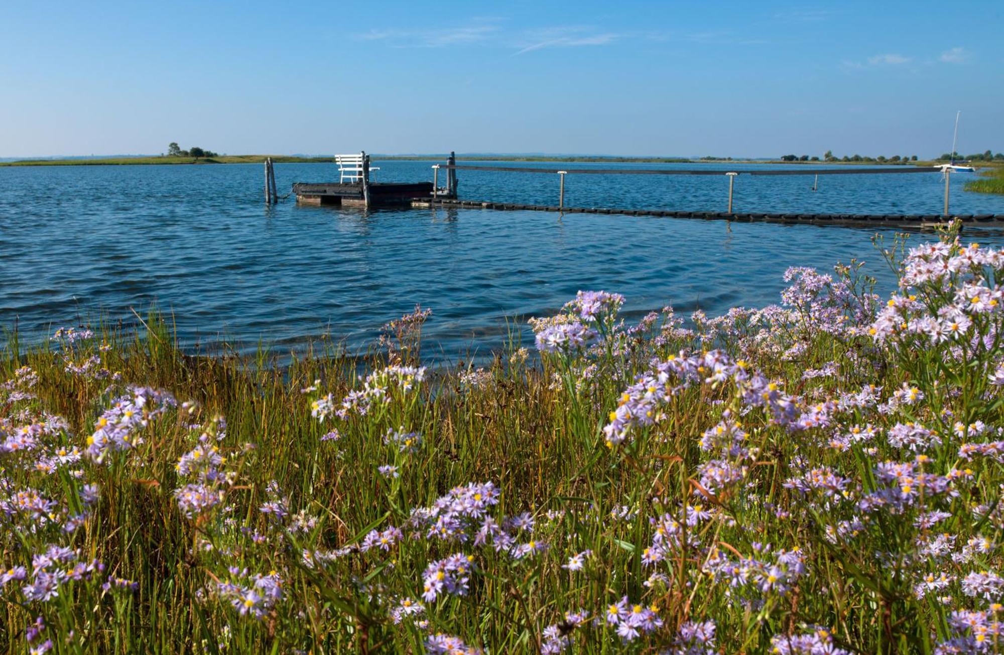 Ostsee Residenz Meeresblick Bellevue Insel Poel Buitenkant foto