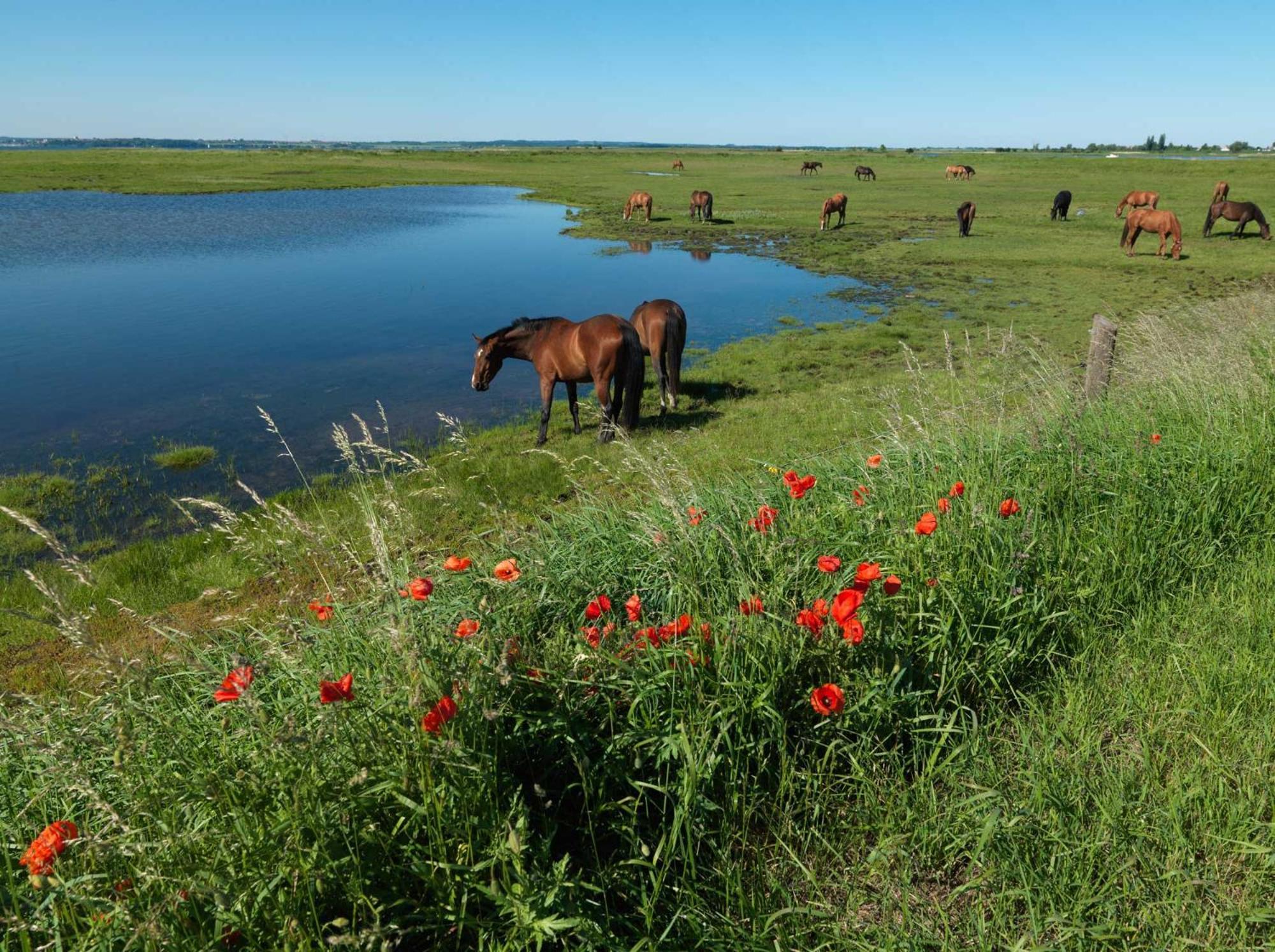 Ostsee Residenz Meeresblick Bellevue Insel Poel Buitenkant foto
