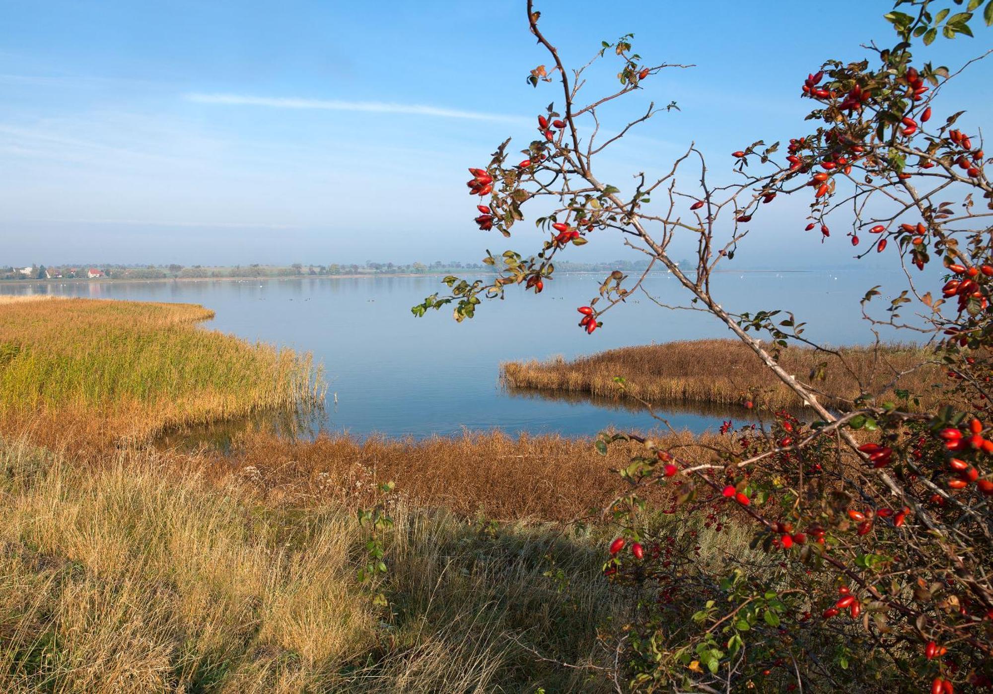 Ostsee Residenz Meeresblick Bellevue Insel Poel Buitenkant foto